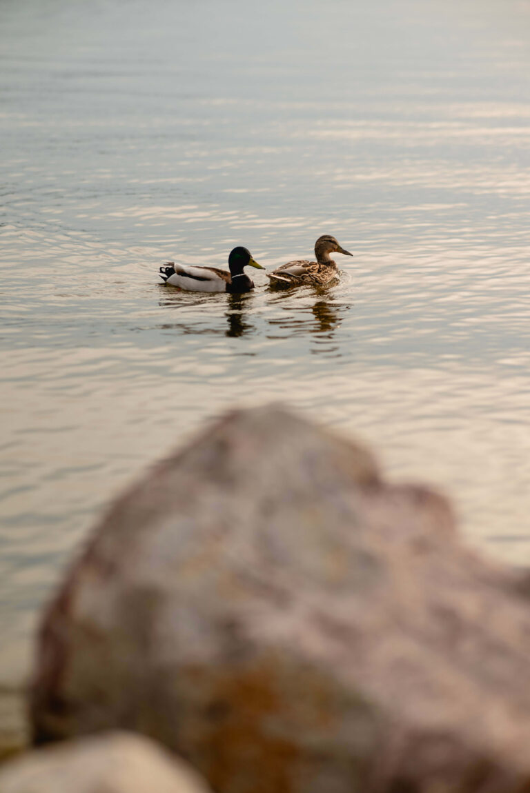 sesja narzeczeńska, Łódź, fotografia, sesja, fotograf ślubny w Łodzi, wesele, ślub, para młoda, fotograf Łódź, Fokus na chwile, Zalew Sulejowski